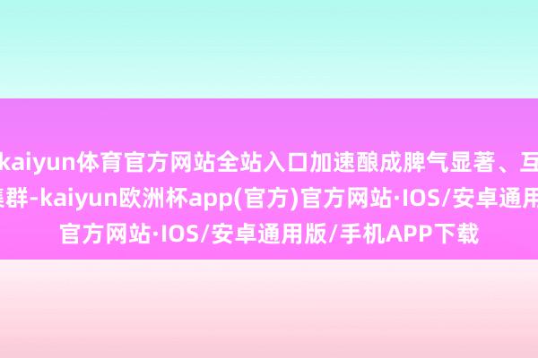 kaiyun体育官方网站全站入口加速酿成脾气显著、互补配合的产业链集群-kaiyun欧洲杯app(官方)官方网站·IOS/安卓通用版/手机APP下载