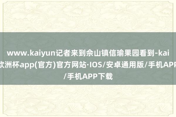 www.kaiyun记者来到佘山镇信瑜果园看到-kaiyun欧洲杯app(官方)官方网站·IOS/安卓通用版/手机APP下载