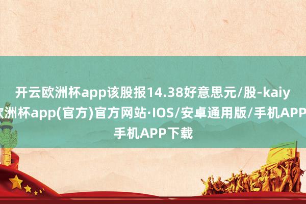 开云欧洲杯app该股报14.38好意思元/股-kaiyun欧洲杯app(官方)官方网站·IOS/安卓通用版/手机APP下载