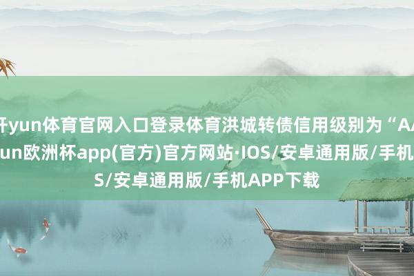 开yun体育官网入口登录体育洪城转债信用级别为“AA+”-kaiyun欧洲杯app(官方)官方网站·IOS/安卓通用版/手机APP下载