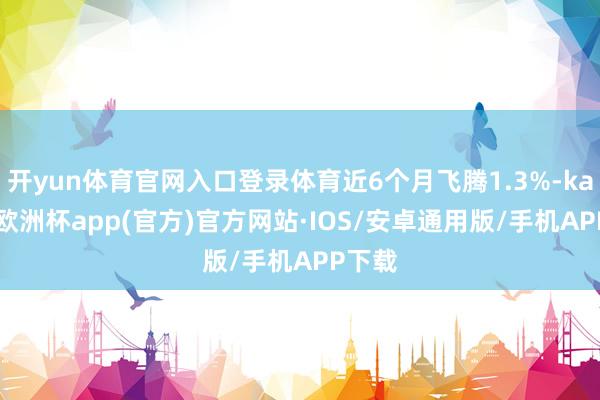 开yun体育官网入口登录体育近6个月飞腾1.3%-kaiyun欧洲杯app(官方)官方网站·IOS/安卓通用版/手机APP下载