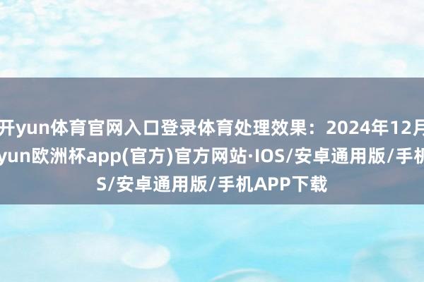 开yun体育官网入口登录体育处理效果：2024年12月25日-kaiyun欧洲杯app(官方)官方网站·IOS/安卓通用版/手机APP下载